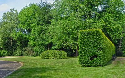 Hausmeisterservice Berlin &ndash; Parkanlage mit exakt geschnittener Hecke, Rasen und Weg